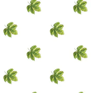 Seamless pattern with  hop leaves Stock Illustration
