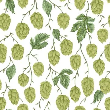 Seamless pattern with hops. Cones, leaves and branches. Illustrazione stock
