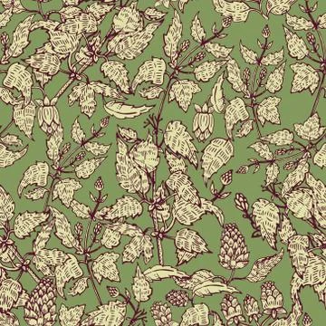 Seamless pattern with hops. Vector illustration. Stock Illustration