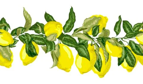 Seamless pattern horizontal line in vector graphic with  branches with fruits Stock Illustration