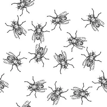 Seamless pattern house fly sketch hand drawn イラスト素材