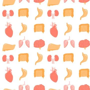 Seamless pattern of human organs including heart lungs kidneys liver and brain Stock Illustration
