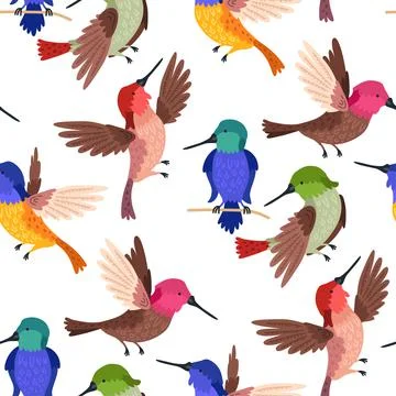 Seamless pattern hummingbird background for kids. Cute children design template Illustrazione stock