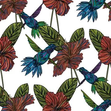 Seamless pattern with Hummingbird, tropical leaves and hibiscus flowers. Illustrazione stock