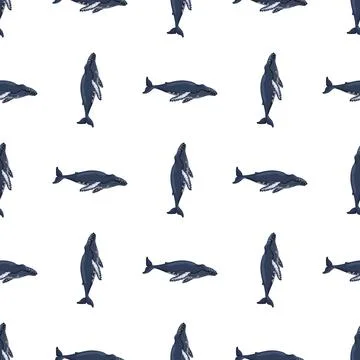 Seamless pattern Humpback whale on white background. Template of cartoon char Stock Illustration