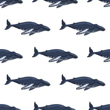 Seamless pattern Humpback whale on white background. Template of cartoon char Stock Illustration