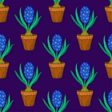 Seamless pattern with hyacinths in pots. Vector illustration. Illustrazione stock