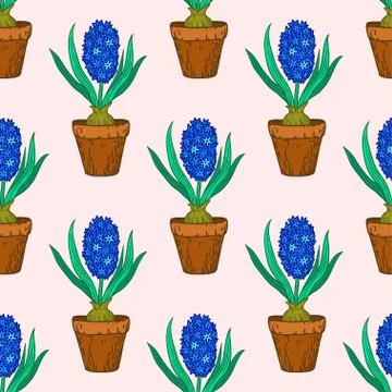 Seamless pattern with hyacinths in pots. Vector illustration. Stock Illustration