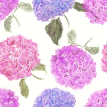 Seamless   pattern of hydrangea flowers Stock Illustration