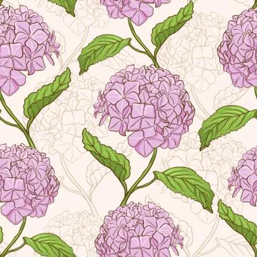 Seamless pattern with hydrangea Illustrazione stock
