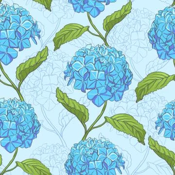Seamless pattern with hydrangea Illustrazione stock