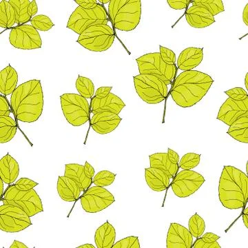 Seamless pattern hydrangea leaf. Colored vector illustration on white Stock Illustration