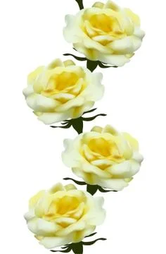 Seamless pattern Stock Illustration