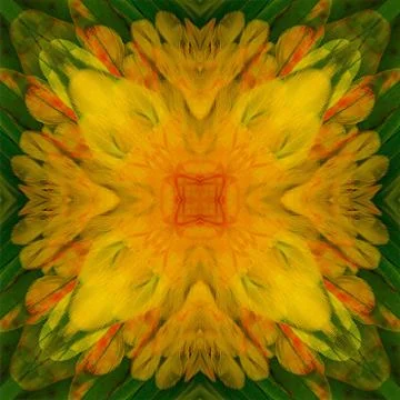 Seamless pattern 스톡 일러스트