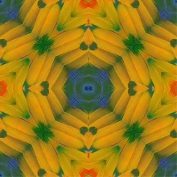 Seamless pattern 스톡 일러스트