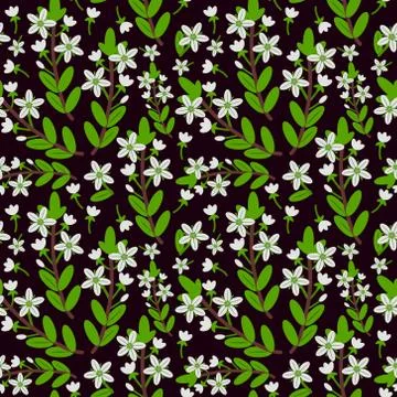 Seamless Pattern Stock Illustration
