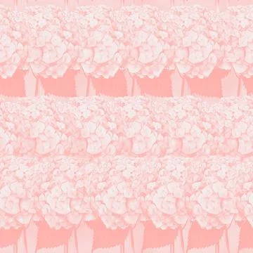 Seamless pattern with image of a Hydrangea Flowers and leaves Illustrazione stock