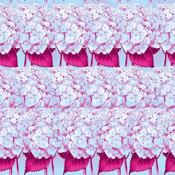 Seamless pattern with image of a Hydrangea Flowers and leaves Illustrazione stock