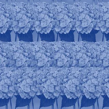 Seamless pattern with image of a Hydrangea Flowers and leaves Stock Illustration
