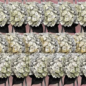 Seamless pattern with image of a Hydrangea Flowers and leaves Illustrazione stock