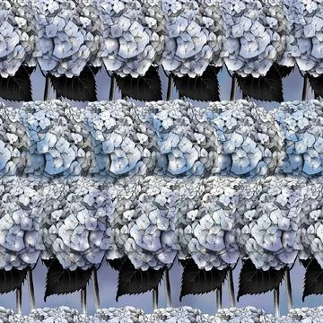 Seamless pattern with image of a Hydrangea Flowers and leaves Illustrazione stock