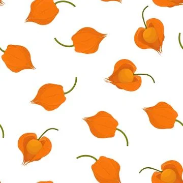 Seamless pattern with the image of physalis berries on a white background Stock Illustration