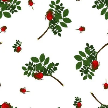 Seamless pattern with the image of wild rose berries with flowers and green l Stock Illustration