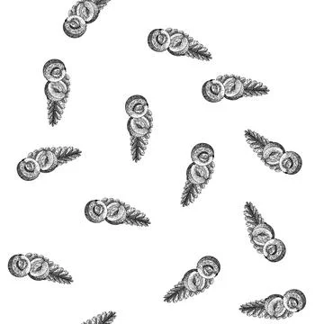 Seamless pattern indian amla sketch hand drawn Stock Illustration