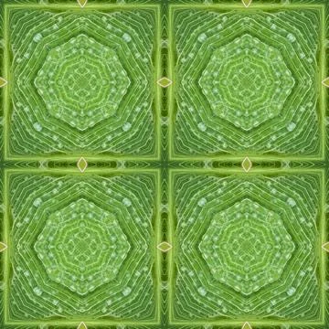Seamless pattern, infinite texture, tile, square - Illustration - graphics. S Illustrazione stock
