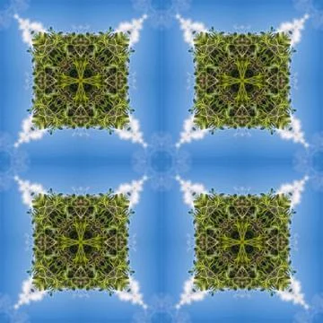 Seamless pattern, infinite texture, tile, square - Illustration - graphics. S Stock Illustration