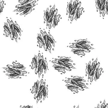 Seamless pattern ingredient paprika sketch hand drawn Stock Illustration