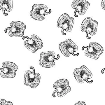 Seamless pattern ingredient pepper spice sketch hand drawn Stock Illustration