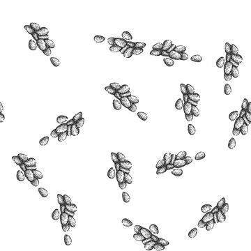 Seamless pattern ingredient pine nut sketch hand drawn Stock Illustration