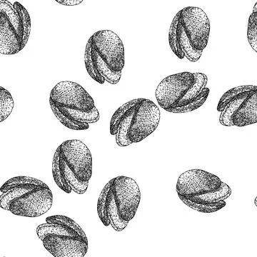 Seamless pattern ingredient pistachio nut sketch hand drawn Stock Illustration