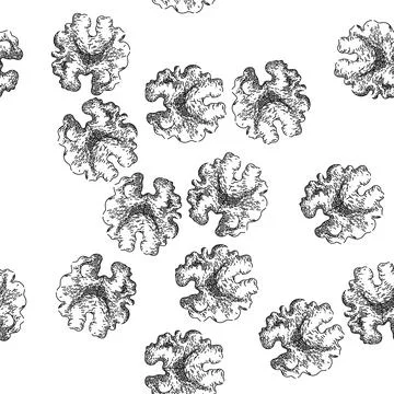 Seamless pattern ingredient walnut sketch hand drawn イラスト素材