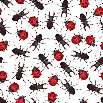 Seamless pattern insect beetles Stock Illustration