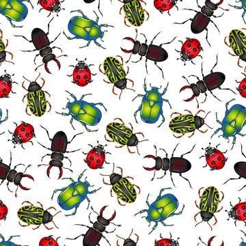 Seamless pattern insect beetles Stock Illustration