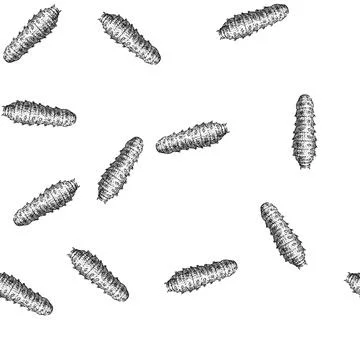 Seamless pattern insect caterpillar sketch hand drawn 库存插图