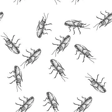 Seamless pattern insect cockroach sketch hand drawn Stock Illustration