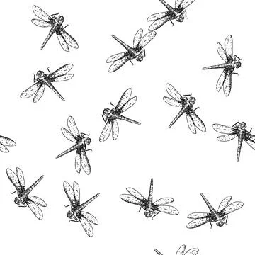 Seamless pattern insect dragonfly sketch hand drawn Stock Illustration