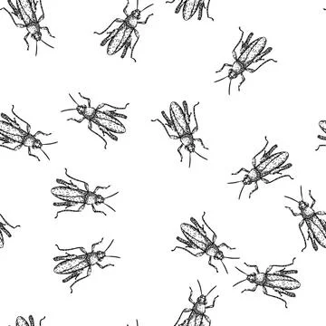 Seamless pattern insect grasshopper sketch hand drawn Stock Illustration