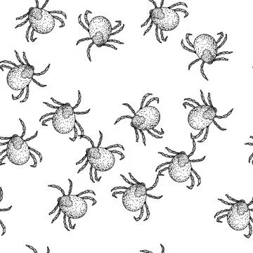 Seamless pattern insect tick sketch hand drawn Ilustração Stock
