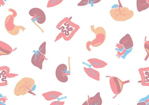 Seamless pattern with internal organs. Human body anatomy. Health care and Stock Illustration