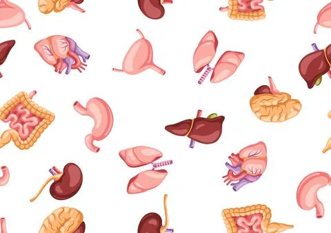 Seamless pattern with internal organs. Human body anatomy. Health care and Stock Illustration
