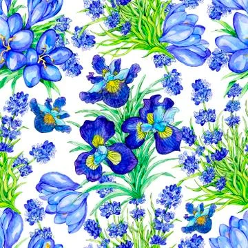 Seamless pattern with Iris, Crocus, Lavender flower on white background. Wate Stock Illustration