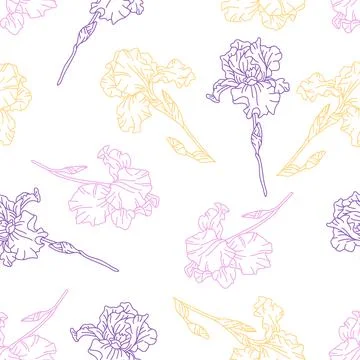 Seamless pattern with iris flowers. Beautiful decorative plants. Stock Illustration