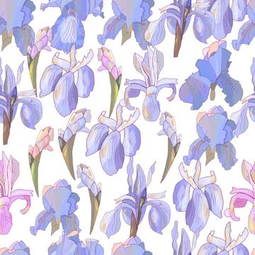 Seamless pattern with irises.. Vector hand drawn illustration Stock Illustration