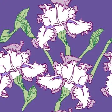 Seamless pattern  with irises.Spring Stock Illustration