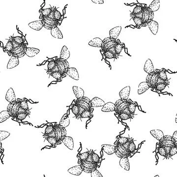 Seamless pattern isolated fly sketch hand drawn Stock Illustration