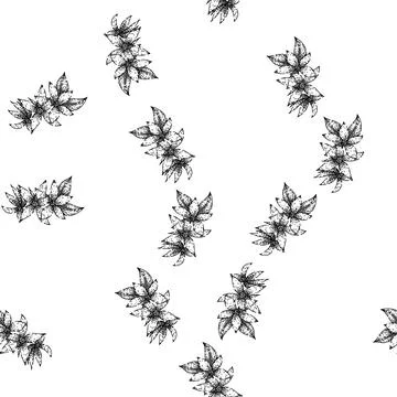 Seamless pattern isolated jasmine sketch hand drawn Illustrazione stock